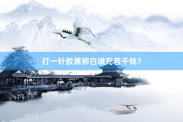 打一针胶原卵白填充若干钱？