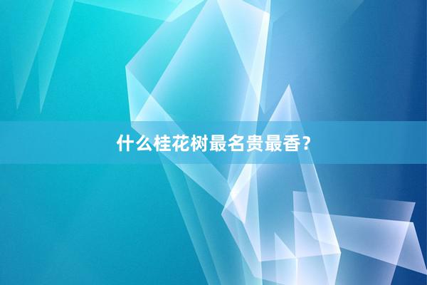 什么桂花树最名贵最香？