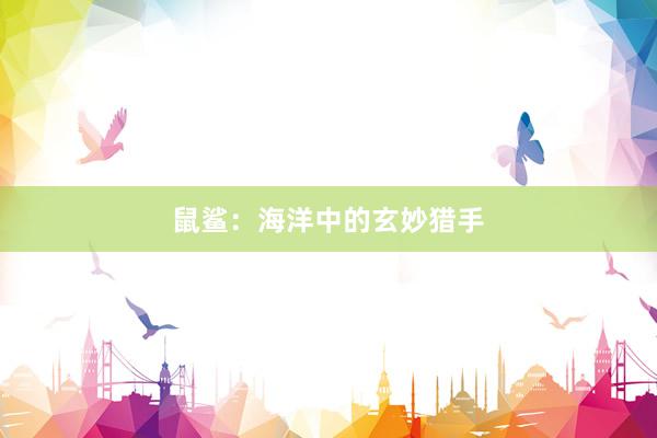 鼠鲨：海洋中的玄妙猎手