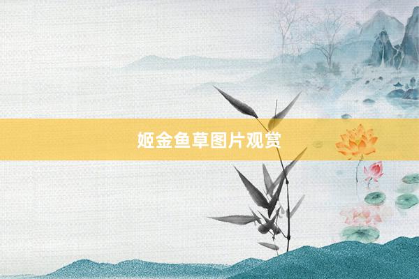 姬金鱼草图片观赏